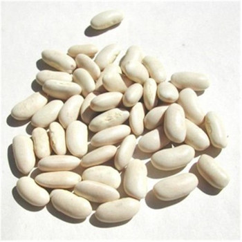 Bulk Peas and Beans Great Northern Beans - Single Bulk Item - 25LB