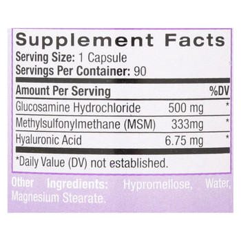 Natrol Vegetarian Hyaluronic Acid MSM and Glucosamine - 90 Capsules