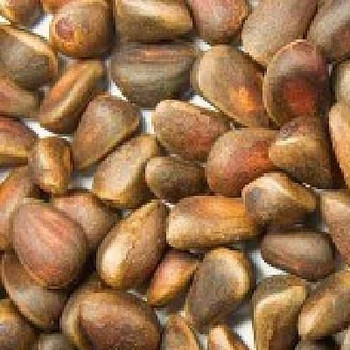 Bulk Nuts - Pinenuts - CS of 5-#