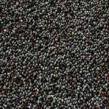 Seeds Poppy Seeds - 5 Each - 5 lb.