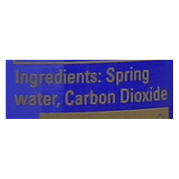 Saratoga Springs Water Sparkling Spring Water - Case of 12 - 28 Fl oz.