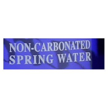 Saratoga Springs Water - Water Still - CS of 12-28 FZ