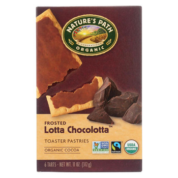 Nature's Path Organic Frosted Toaster Pastries - Lotta Chocolotta - Case of 12 - 11 oz.