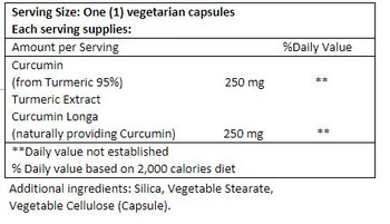 Bio Nutrition - Curcumin 500 - 50 Vegetarian Capsules