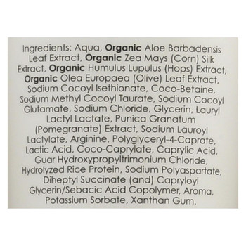 Deep Steep Shampoo - Glossy Smoothing - Case of 1 - 10 fl oz. Deep Steep Shampoo - Glossy Smoothing - Case of 1 - 10 fl oz.