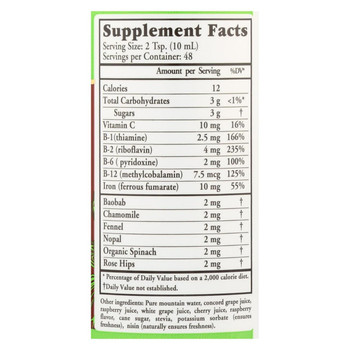 Buried Treasure - Herbal Iron - 16 oz