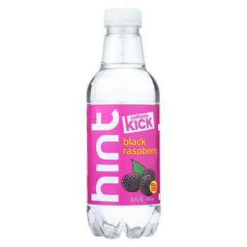 Hint Raspberry Water - Black Raspberry - Case of 12 - 16 Fl oz.