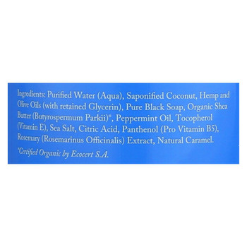 Dr. Woods Naturals Black Soap - Shea Vision - Peppermint - 32 oz Dr. Woods Naturals Black Soap - Shea Vision - Peppermint - 32 oz