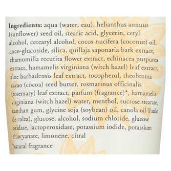 Burts Bees - Fce Clnsr Sp Brk & Chamo - 6 OZ