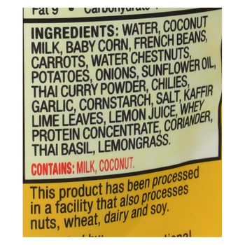 Tasty Bite Heat & Eat Thai Vegetable Curry - Hot & Spicy - Case of 6 - 10 oz