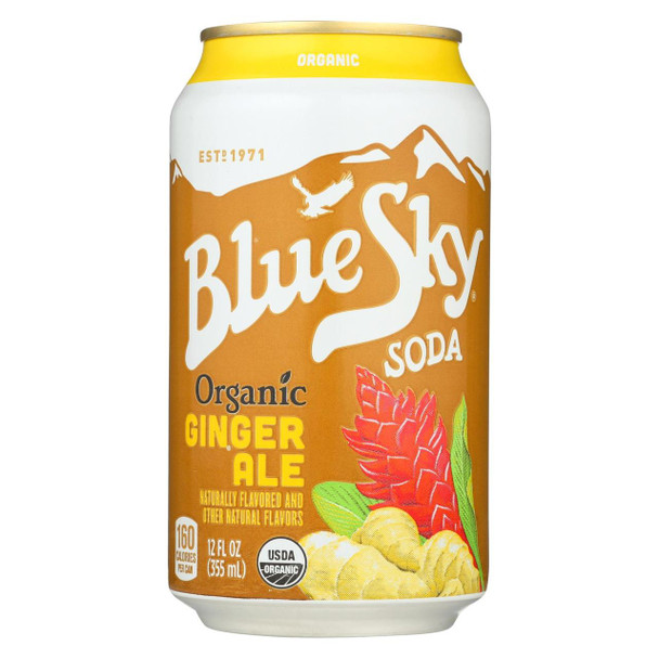 Blue Sky - Ginger Ale - Cane Sugar - Case of 4 - 12 oz.