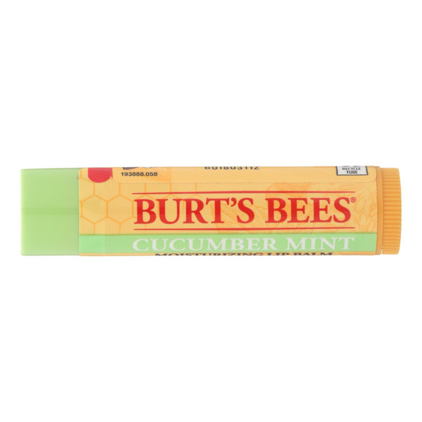 Burts Bees - Lip Balm Cucumber Mint - Case of 12 - 0.15 OZ