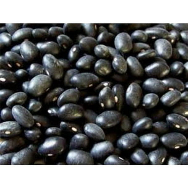 Bulk Grains - Beans Black - Case of 25-LB