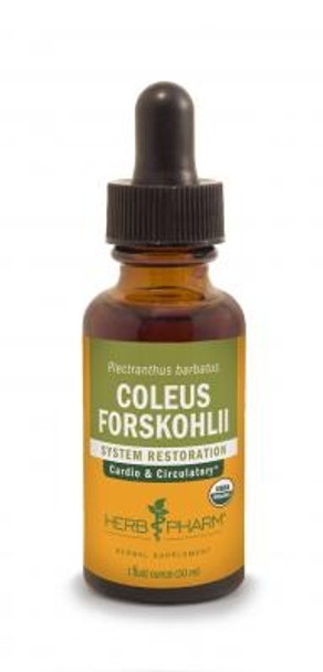 Herb Pharm - Coleus Forskohlii - 1 Each-1 OZ