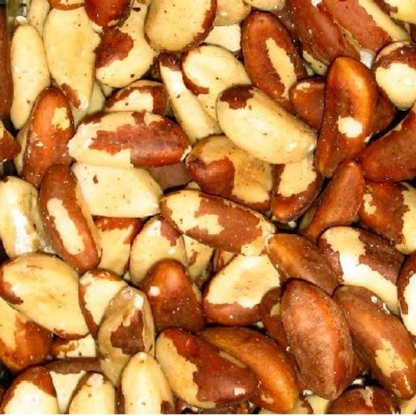 Bulk Nuts Brazil Nuts - Raw Fancy - Case of 44 - 1 lb.