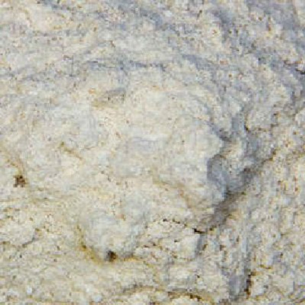 Bulk Flours and Baking Organic Pastry Flour Whole Wheat - Single Bulk Item - 50LB