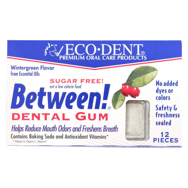 Eco-Dent Between Dental Gum - Wintergreen - Case of 12 - 12 Pack