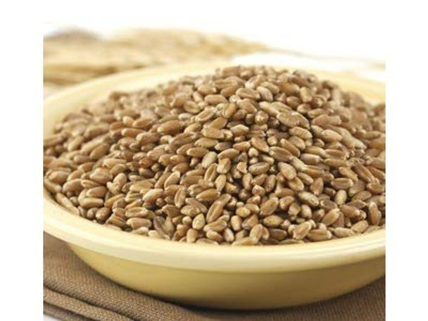 Bulk Grains Organic Winter Wheat Berries Hard Red - Single Bulk Item - 50LB