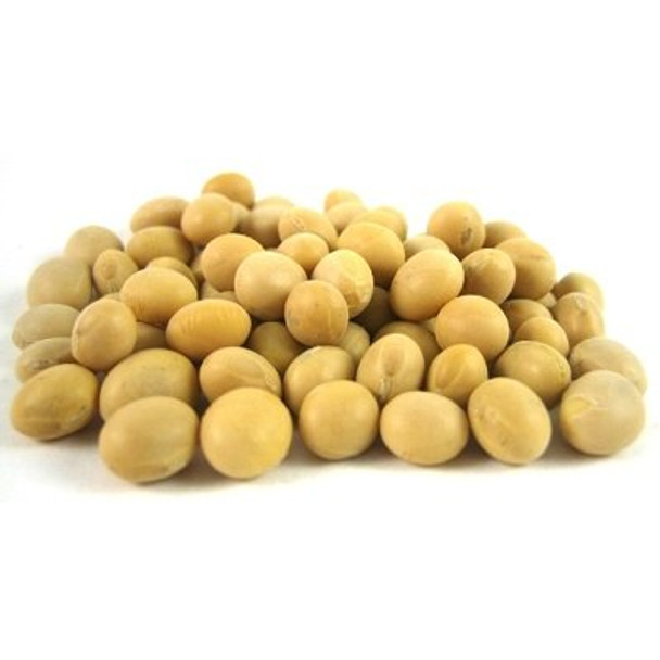 Bulk Peas and Beans - Organic Soy Bean - 50 Lb.