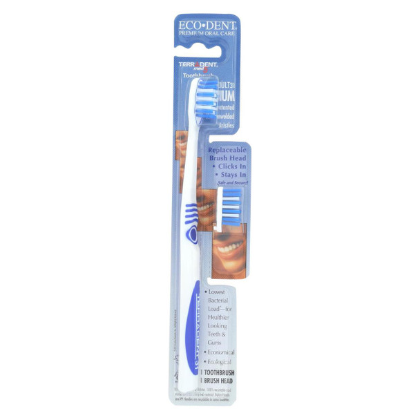 Terradent 31 Toothbrush + Refill Medium - 1 Toothbrush - Case of 6