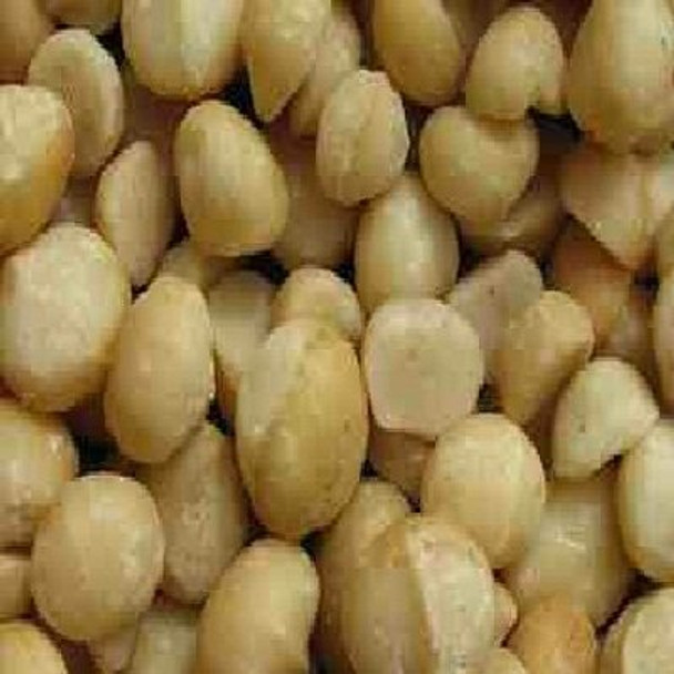 Bulk Nuts - Organic Macadamia Nuts - Raw - Case of 25 - 1 lb.