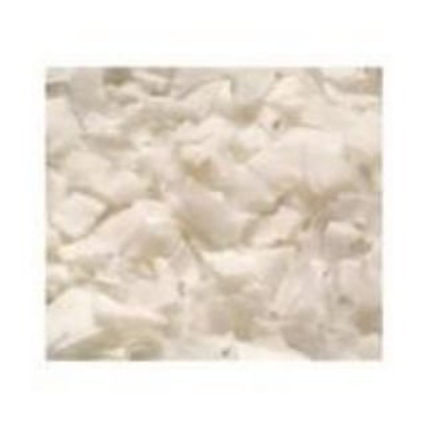 Bulk Dried Fruit - Organic Coconut Chips - Case of 25 - 1 lb.