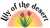 Shop Lily Of The Desert