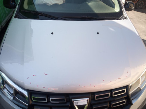DACIA SANDERO «II» (2016) LAMIERATI ESTERNI COFANO ANT. USATO Da 2016 in poi [[244672]]