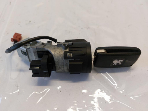 PEUGEOT 407  (2004) STERZO BLOCCASTERZO USATO Da 2004 A 2011 [[267731]]