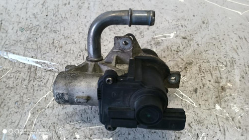 RENAULT SCÉNIC «III» X-MOD (2009) SCARICO E INIEZIONE VALVOLA EGR USATO Da 2008 A 2011 [[275965]]