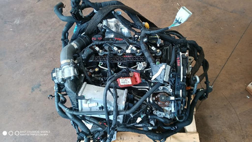 FORD FOCUS «V» (2022) MOTORE MOTORE SEMICOMPLETO USATO Da 2022 in poi [[291239]]