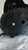 ALFA ROMEO GIULIETTA (2010) ALLESTIMENTI INTERNI QUADRO STRUMENTI USATO Da 2010 A 2013 [[215097]]