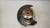 JEEP COMPASS «III» (2017) ASSALE FUSELLO RUOTA ANT. SX. USATO Da 2020 A 2021 [[236580]]
