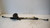 FORD FIESTA «VI» (2008) STERZO SCATOLA STERZO C/SERVOSTERZO USATO Da 2008 A 2012 [[236773]]