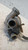FORD FIESTA «VI» (2008) SCARICO E INIEZIONE TURBINA USATO Da 2008 A 2012 [[236766]]