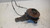 RENAULT TWINGO «II» (2008) ASSALE FUSELLO RUOTA ANT. SX. USATO Da 2007 A 2011 [[236704]]