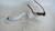 VASCHETTA TERGICRISTALLI USATO DAL 2014 AL 2017 FIAT 500L (2013) 52109489 [[211653]]