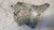 FIAT 500X (2018) TERMICO SUPPORTO COMPRESSORE A/C USATO Da 2018 in poi [[237679]]
