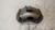 FIAT 500 «II» (2015) IMPIANTO FRENANTE DISCO FRENO ANT. DX. USATO Da 2015 in poi [[237476]]