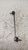 FIAT 500 «II» (2015) ASSALE BIELLETTA STABILIZZATRICE ANT. DX. USATO Da 2015 in poi [[237474]]