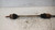 FIAT PANDA «II» (2004) CAMBIO E TRASMISSIONE SEMIASSE POST. SX. USATO Da 2004 A 2009 [[237461]]