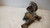 FIAT PANDA «II» (2004) ASSALE BRACCIO OSCILLANTE POST. SX. USATO Da 2004 A 2009 [[237453]]