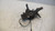 FIAT GRANDE PUNTO (2006) ASSALE FUSELLO RUOTA ANT. SX. USATO Da 2005 A 2010 [[237403]]