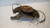 FIAT SEDICI (2006) ASSALE FUSELLO RUOTA ANT. SX. USATO Da 2005 A 2009 [[237289]]