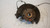 FIAT SEDICI (2006) ASSALE FUSELLO RUOTA ANT. SX. USATO Da 2005 A 2009 [[237289]]