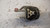 FORD FOCUS «IV»  (2014) MOTORE SUPPORTO GOMMA MOTORE (LATO CAMBIO) DX. USATO Da 2014 in poi [[237156]]