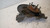 FORD FOCUS «IV»  (2014) ASSALE FUSELLO RUOTA ANT. SX. USATO Da 2014 in poi [[237130]]