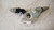 NISSAN MICRA «III» (2003) STERZO DEVIOGUIDA COMPLETO USATO Da 2003 A 2005 [[237012]]