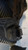 RENAULT MODUS (2005) TERMICO VENTOLA RAFFREDDAMENTO USATO Da 2007 A 2013 [[236269]]