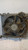 RENAULT MODUS (2005) TERMICO VENTOLA RAFFREDDAMENTO USATO Da 2007 A 2013 [[236269]]